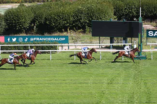 Photo d'arrivée de la course pmu PRIX ORTIE BLANCHE à SAINT CLOUD le Vendredi 15 septembre 2023
