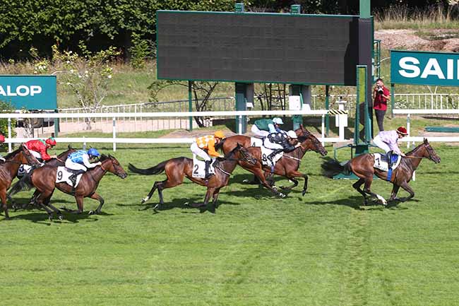 Photo d'arrivée de la course pmu PRIX DES TOURELLES - FONDS EUROPEEN DE L'ELEVAGE à SAINT CLOUD le Vendredi 15 septembre 2023