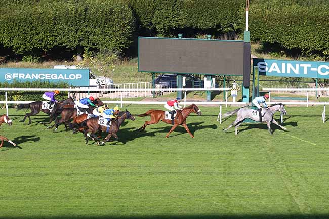 Photo d'arrivée de la course pmu PRIX MAGISTER à SAINT CLOUD le Vendredi 15 septembre 2023