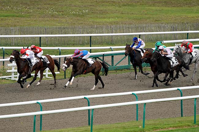 Photo d'arrivée de la course pmu PRIX DU BOIS FRANC à CHANTILLY le Samedi 16 septembre 2023
