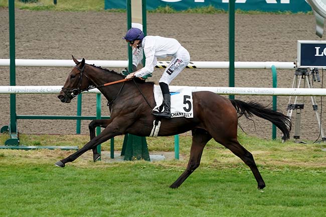 Photo d'arrivée de la course pmu PRIX DE CONDE à CHANTILLY le Samedi 16 septembre 2023