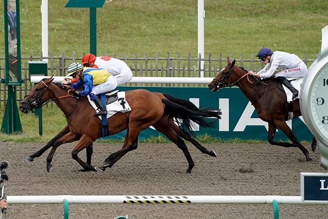 Photo d'arrivée de la course pmu PRIX DE GOUY à CHANTILLY le Samedi 16 septembre 2023