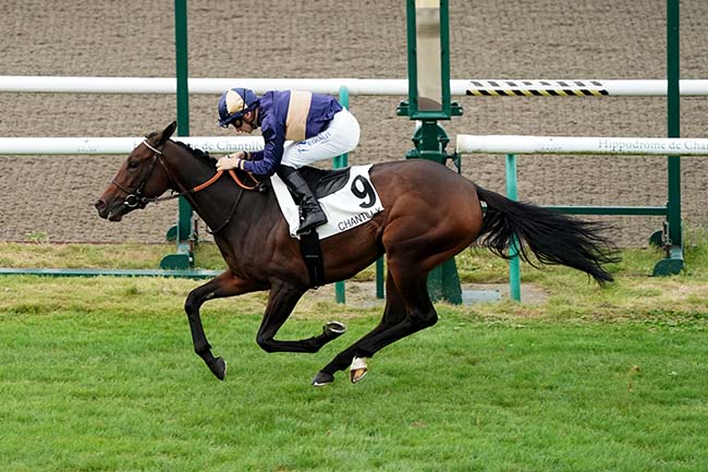 Photo d'arrivée de la course pmu PRIX BERTRAND DE TARRAGON à CHANTILLY le Samedi 16 septembre 2023