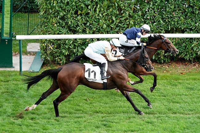 Photo d'arrivée de la course pmu PRIX DU ROI DES MANUSCRITS à CHANTILLY le Samedi 16 septembre 2023