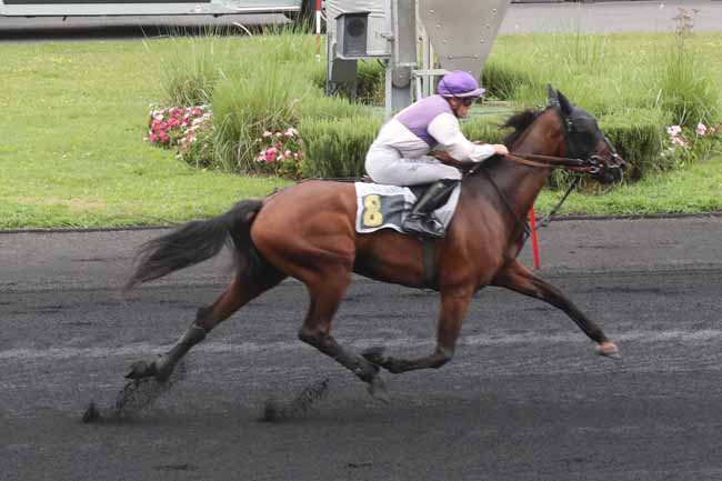 Photo d'arrivée de la course pmu PRIX RMC (PRIX DE DORMANS) à PARIS-VINCENNES le Dimanche 17 septembre 2023