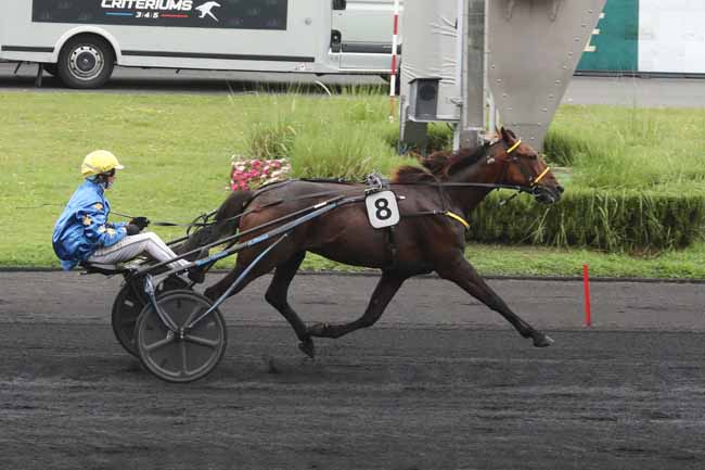 Photo d'arrivée de la course pmu PRIX FEDERATION FRANCAISE DE LA RECONVERSION (PRIX D'AVALLON) à PARIS-VINCENNES le Dimanche 17 septembre 2023