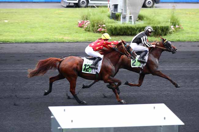 Photo d'arrivée de la course pmu PRIX KOZYR à PARIS-VINCENNES le Dimanche 17 septembre 2023