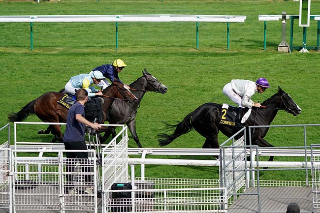Photo d'arrivée de la course pmu PRIX DES VESTALES à COMPIEGNE le Lundi 18 septembre 2023
