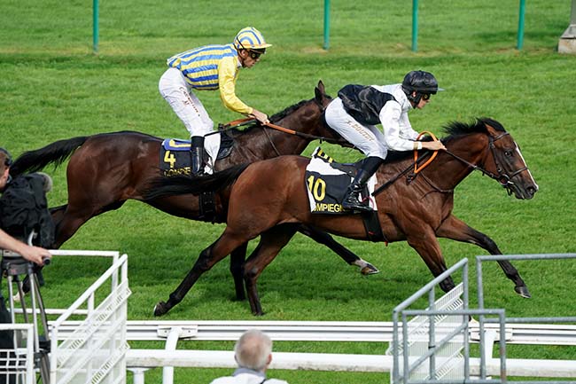 Photo d'arrivée de la course pmu PRIX ECTOT à COMPIEGNE le Lundi 18 septembre 2023