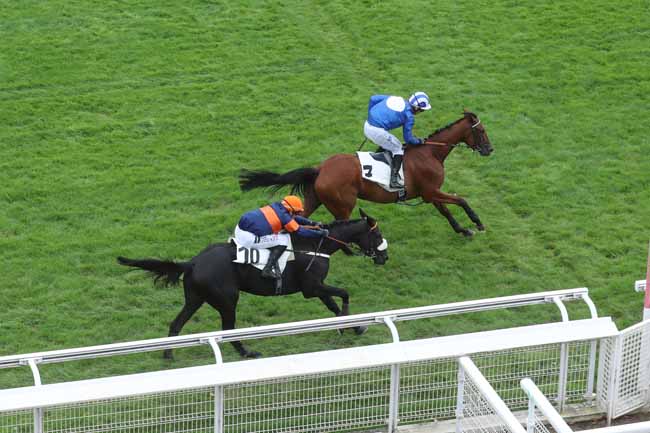 Photo d'arrivée de la course pmu PRIX FINOT - POULICHES - PELOTON A à AUTEUIL le Mardi 19 septembre 2023