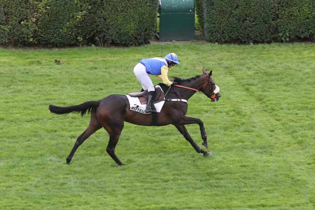 Photo d'arrivée de la course pmu PRIX SAPIN à AUTEUIL le Mardi 19 septembre 2023