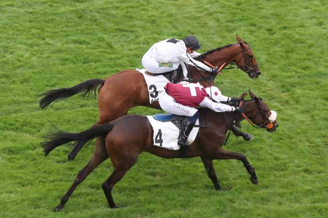 Photo d'arrivée de la course pmu PRIX FINOT - POULICHES - PELOTON B à AUTEUIL le Mardi 19 septembre 2023