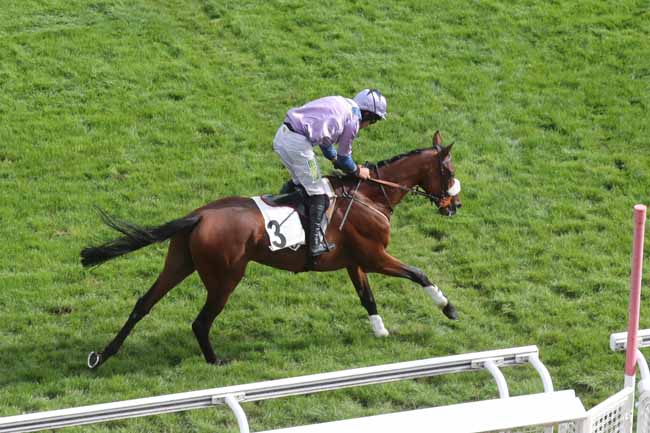 Photo d'arrivée de la course pmu PRIX D'ANGERS à AUTEUIL le Mardi 19 septembre 2023