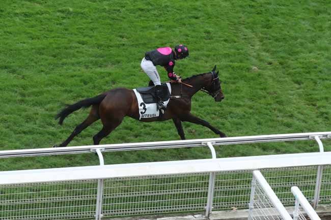 Photo d'arrivée de la course pmu PRIX CALABRAIS à AUTEUIL le Mardi 19 septembre 2023