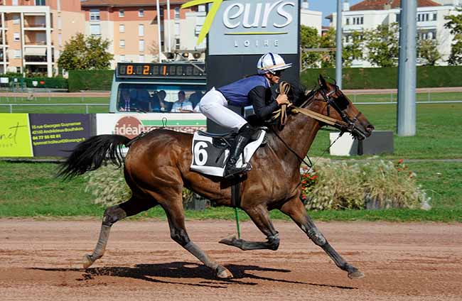 Photo d'arrivée de la course pmu PRIX DU CONSEIL DEPARTEMENTAL DE LA LOIRE à FEURS le Mercredi 20 septembre 2023