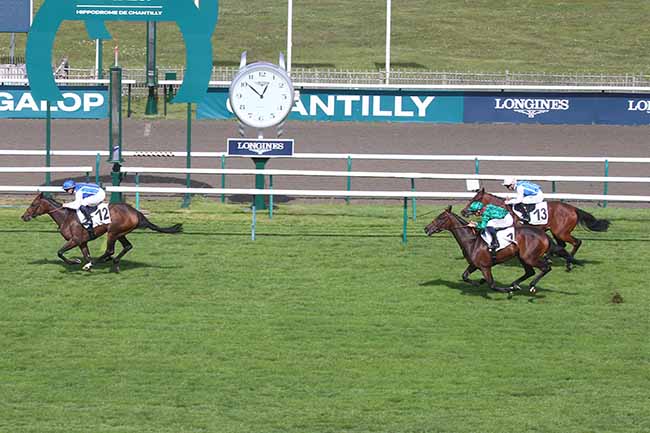 Photo d'arrivée de la course pmu PRIX DE TOUTEVOIE à CHANTILLY le Mercredi 20 septembre 2023