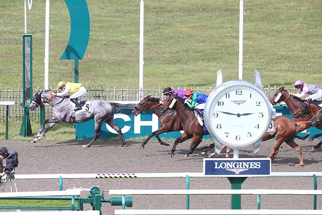 Photo d'arrivée de la course pmu PRIX DE LABRUYERE à CHANTILLY le Mercredi 20 septembre 2023