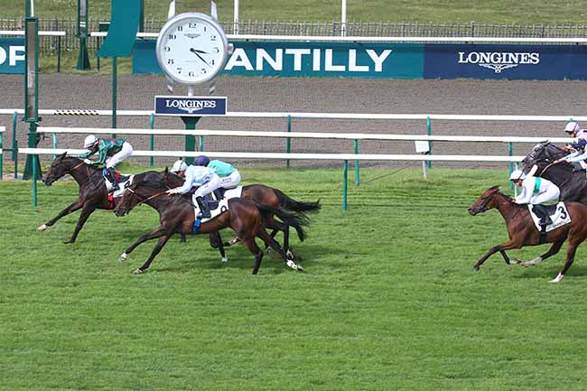Photo d'arrivée de la course pmu PRIX DU BOIS BRANDIN à CHANTILLY le Mercredi 20 septembre 2023