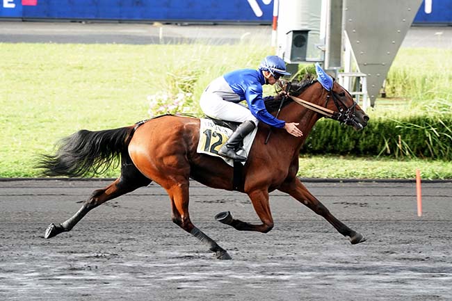 Photo d'arrivée de la course pmu PRIX GASTON ROUSSEL à PARIS-VINCENNES le Jeudi 21 septembre 2023