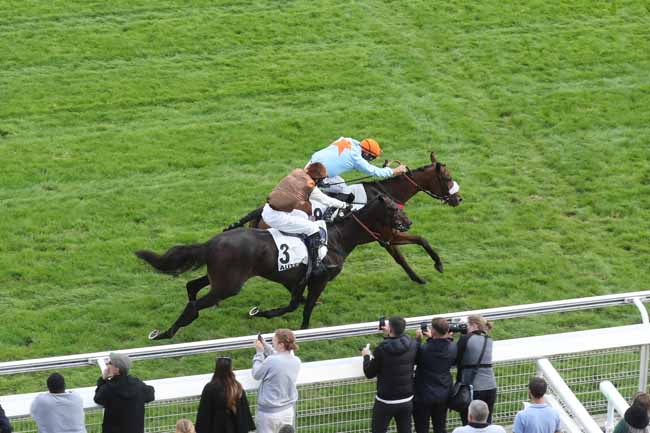 Photo d'arrivée de la course pmu PRIX LA TURBIE à AUTEUIL le Samedi 23 septembre 2023