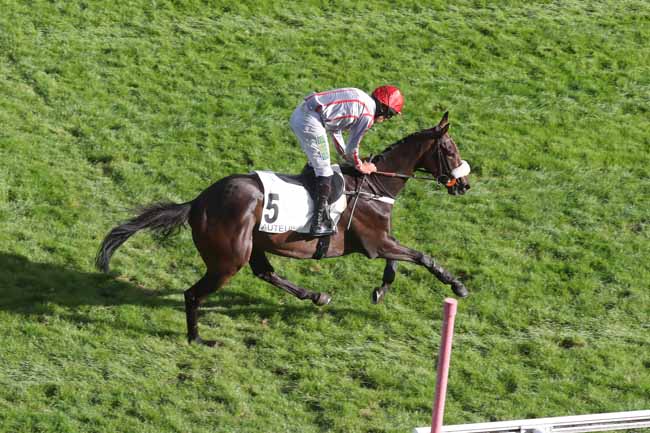 Photo d'arrivée de la course pmu PRIX MID DANCER à AUTEUIL le Samedi 23 septembre 2023