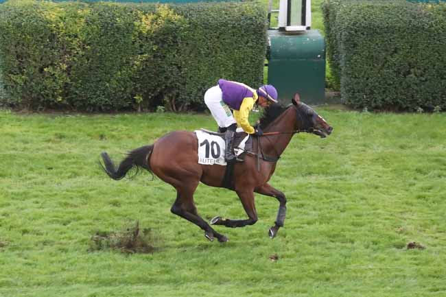 Photo d'arrivée de la course pmu PRIX MANDARIN à AUTEUIL le Samedi 23 septembre 2023