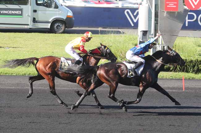 Photo d'arrivée de la course pmu PRIX DES ELITES à PARIS-VINCENNES le Dimanche 24 septembre 2023