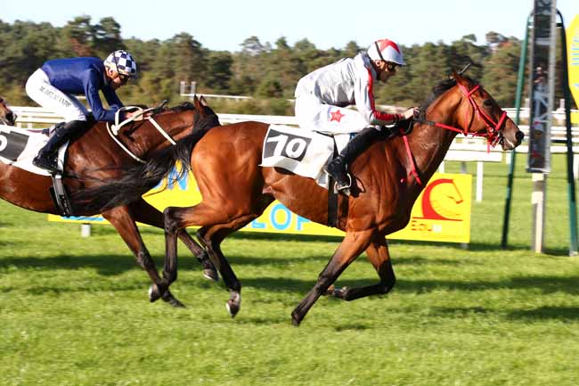 Photo d'arrivée de la course pmu PRIX DE LA SOCIETE DES COURSES DE RAMBOUILLET à FONTAINEBLEAU le Dimanche 24 septembre 2023