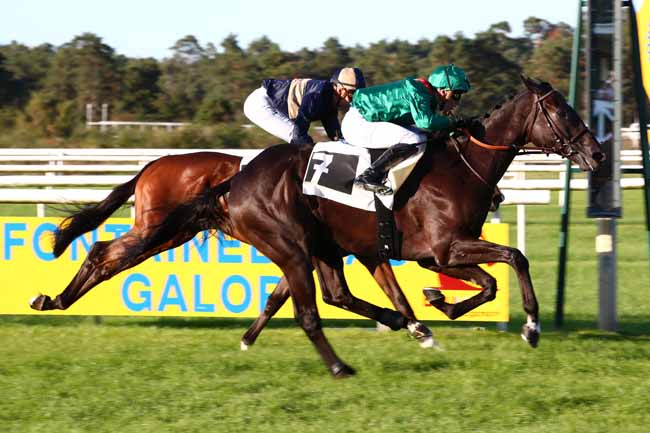 Photo d'arrivée de la course pmu PRIX PHILIPPE LORAIN à FONTAINEBLEAU le Dimanche 24 septembre 2023