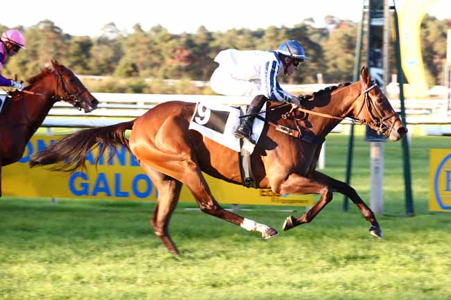 Photo d'arrivée de la course pmu PRIX TECHSTAR FONTAINEBLEAU BY AUTOSPHERE (PRIX DE LA MARE AUX EVEES) à FONTAINEBLEAU le Dimanche 24 septembre 2023