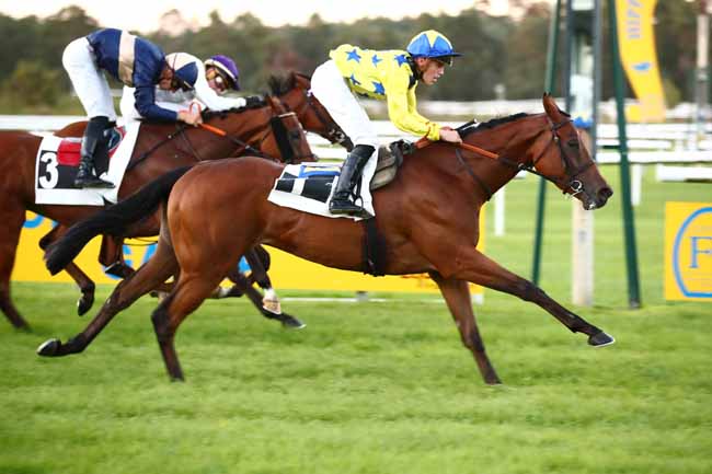 Photo d'arrivée de la course pmu PRIX DE LA GROTTE AUX CRISTAUX à FONTAINEBLEAU le Dimanche 24 septembre 2023