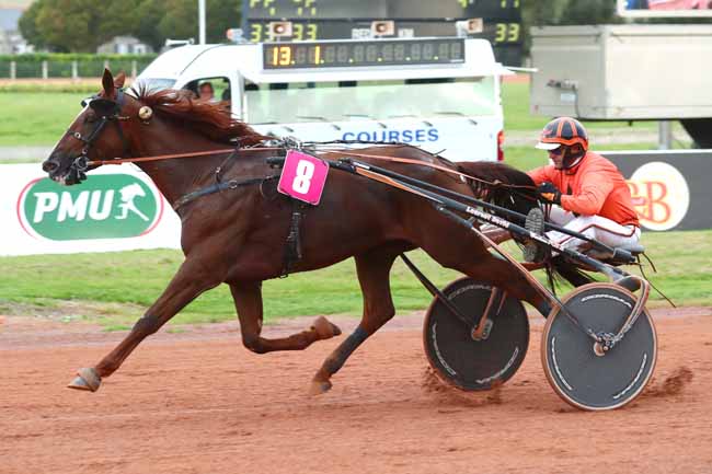 Photo d'arrivée de la course pmu PRIX PMU CAFE DE LA BAIE à LE MONT SAINT MICHEL le Mercredi 27 septembre 2023