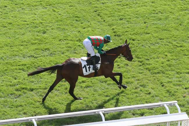 Photo d'arrivée de la course pmu PRIX PRIDE OF KILDARE à AUTEUIL le Mercredi 27 septembre 2023