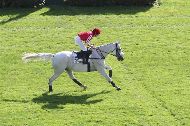 Photo d'arrivée de la course pmu PRIX DE SALERS à AUTEUIL le Mercredi 27 septembre 2023