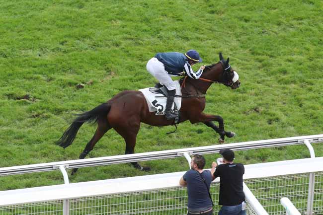 Photo d'arrivée de la course pmu PRIX DE COYE à AUTEUIL le Mercredi 27 septembre 2023