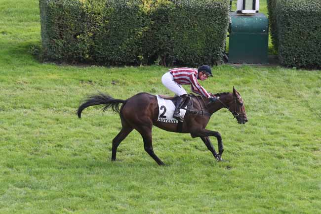Photo d'arrivée de la course pmu PRIX KARGAL à AUTEUIL le Mercredi 27 septembre 2023
