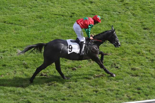 Photo d'arrivée de la course pmu PRIX MARITTIMO à AUTEUIL le Mercredi 27 septembre 2023