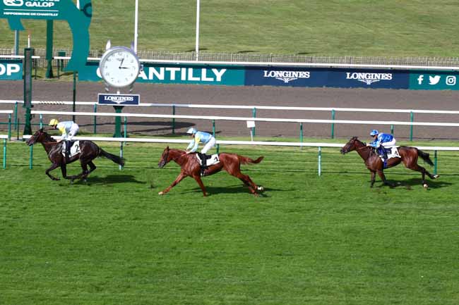 Photo d'arrivée de la course pmu PRIX DES TERRIERS DU HOUX à CHANTILLY le Jeudi 28 septembre 2023