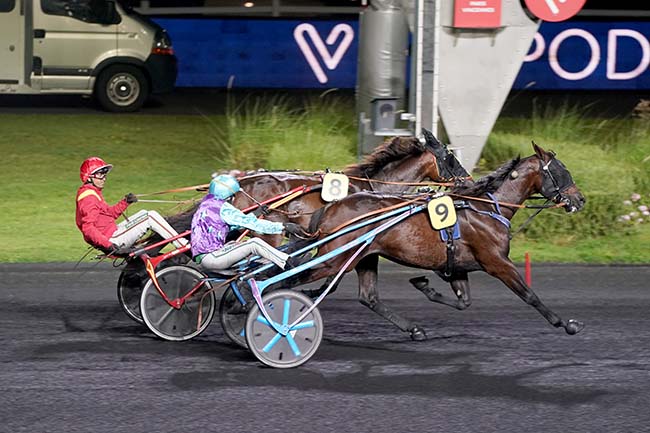 Photo d'arrivée de la course pmu PRIX TIMOCHARIS à PARIS-VINCENNES le Vendredi 29 septembre 2023