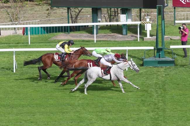 Photo d'arrivée de la course pmu QATAR ARABIAN TROPHY DES POULAINS à SAINT CLOUD le Vendredi 29 septembre 2023