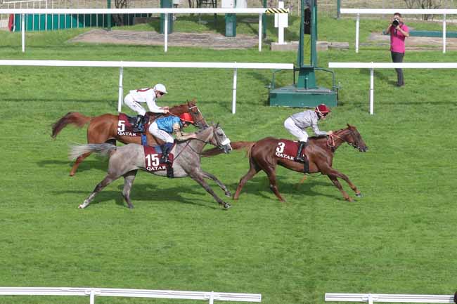 Photo d'arrivée de la course pmu QATAR ARABIAN TROPHY DES POULICHES à SAINT CLOUD le Vendredi 29 septembre 2023