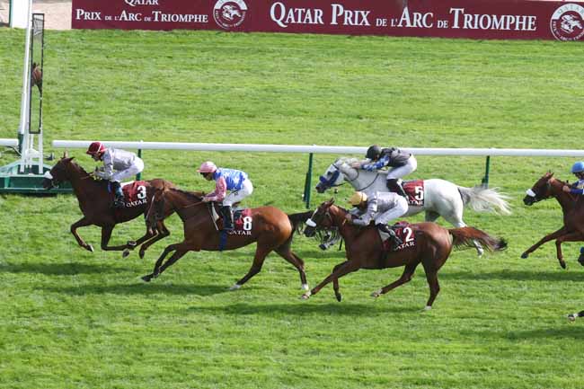 Photo d'arrivée de la course pmu QATAR ARABIAN TROPHY DES JUMENTS (POULICHES DE 4 ANS) à LONGCHAMP le Samedi 30 septembre 2023