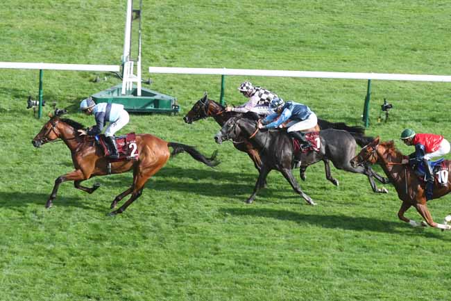 Photo d'arrivée de la course pmu HARAS DE BOUQUETOT - ARQANA SERIES - CRITERIUM D'AUTOMNE EN HOMMAGE A LADY O'REILLY à LONGCHAMP le Samedi 30 septembre 2023