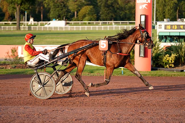 Photo d'arrivée de la course pmu PRIX DU COTENTIN à ENGHIEN le Samedi 30 septembre 2023