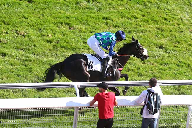 Photo d'arrivée de la course pmu PRIX ISOPANI à AUTEUIL le Mardi 3 octobre 2023