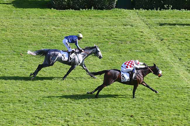 Photo d'arrivée de la course pmu PRIX VIVIENNE à AUTEUIL le Mardi 3 octobre 2023