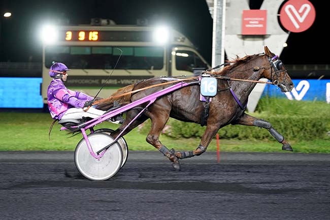 Photo d'arrivée de la course pmu PRIX CONSTANTIA à PARIS-VINCENNES le Mardi 3 octobre 2023