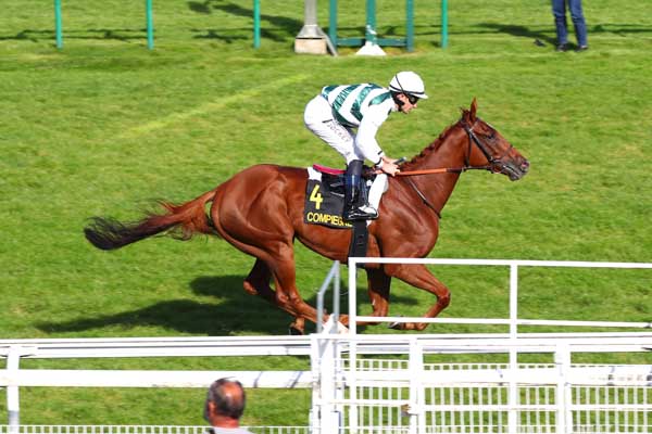 Photo d'arrivée de la course pmu PRIX DU VERMANDOIS à COMPIEGNE le Vendredi 6 octobre 2023