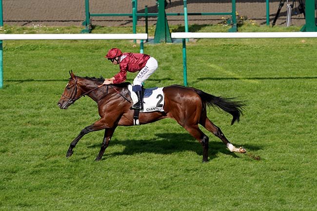 Photo d'arrivée de la course pmu PRIX SARACA à CHANTILLY le Samedi 7 octobre 2023