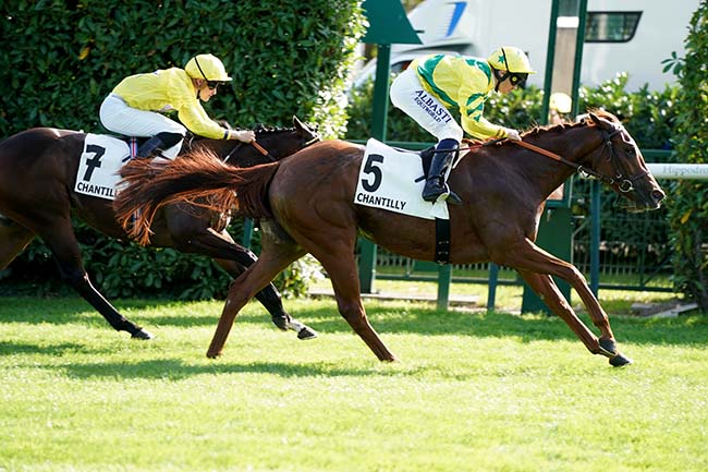 Photo d'arrivée de la course pmu CRITERIUM DE MAISONS-LAFFITTE à CHANTILLY le Samedi 7 octobre 2023